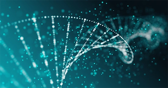 Umh Dth Thumbnail - Miami Herbert Business School